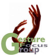 Gesture Focus Group